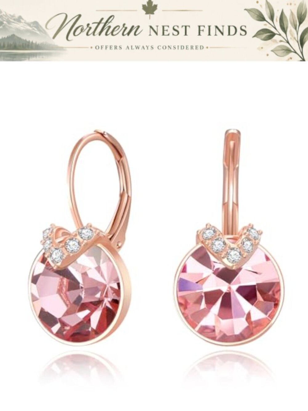 BriLove Bella V Drop Earrings Cubic Zirconia V-Shaped Dangle Women